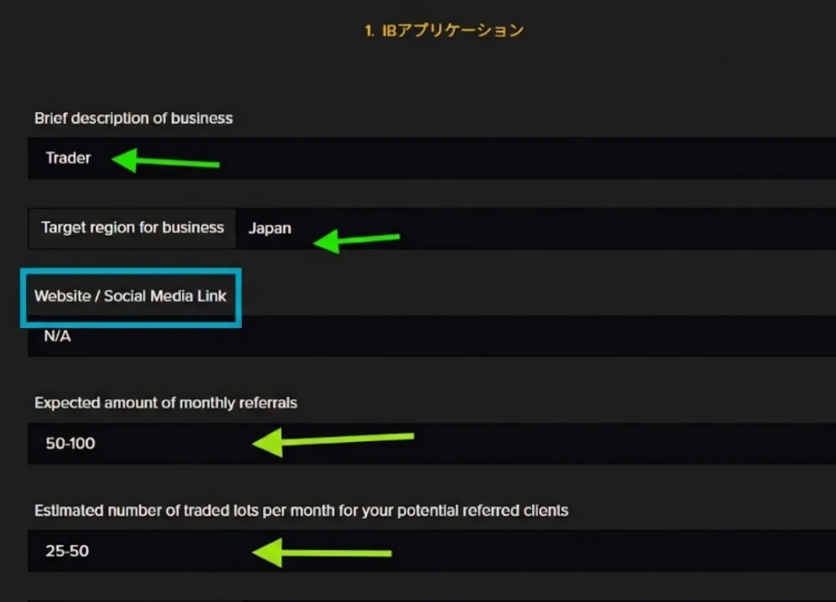 IBアプリケーション入力例