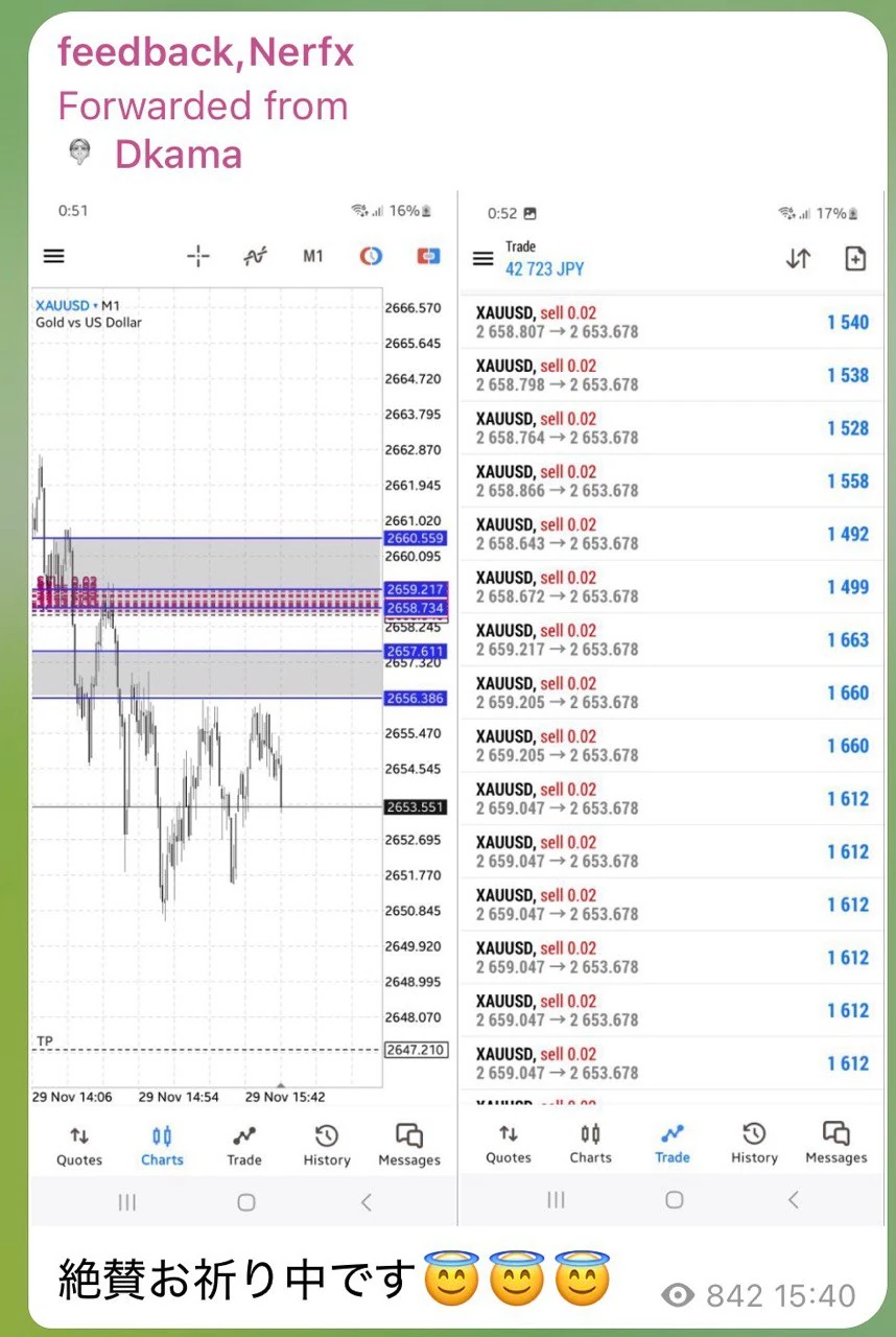 ユーザーフィードバック 17
